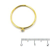 Basics Mini Ring 01