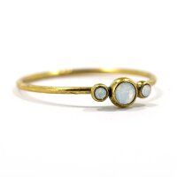 Basics Mini Ring 02